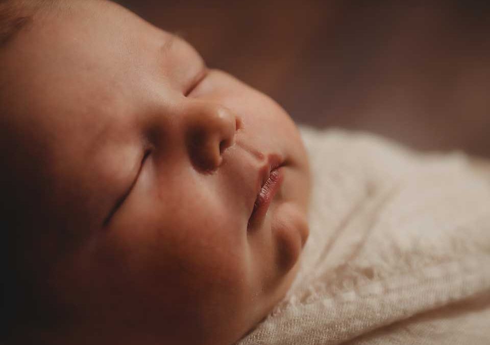 Juniper’s Newborn Session – St. Louis Photographer